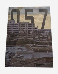 057 зін
